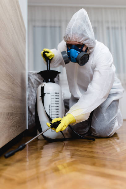 Reliable East Lake, FL Pest Control Solutions